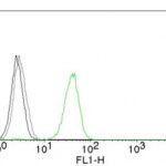 Flow Cytometry of human CD31 on Jurkat Cells. Black: Cells alone; Grey: Isotype Control; Green: Alexa Fluor® 488-labeled CD31 Monoclonal Antibody (JC/7A).