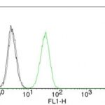 Flow Cytometry of human CD31 on Jurkat Cells. Black: Cells alone; Grey: Isotype Control; Green: Alexa Fluor® 488-labeled CD31 Monoclonal Antibody (C31.1).