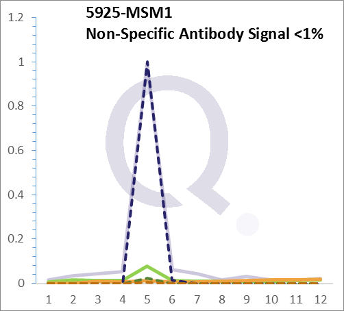 Analysis of Mass Spec data (dashed-line) of fractions stained with Rb1 MS-QAVA™ monoclonal antibody [Clone: 1F8] (solid-line), reveals that less than 0.8% of signal is attributable to non-specific binding of anti-Rb1 [Clone: 1F8] to targets other than RB1 protein. Even frequently cited antibodies have much greater non-specific interactions, averaging over 30%. Data in image is from analysis in Jurkat, U202 and HeLa cells.