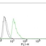 Flow Cytometry of human Cyclin D1 on Jurkat Cells. Black: Cells alone; Grey: Isotype Control; Green: Alexa Fluor® 488-labeled Cyclin D1 Monoclonal Antibody (DCS-6).