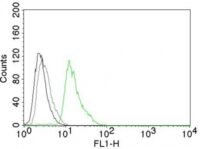 Flow Cytometry of human Cyclin D1 on Jurkat Cells. Black: Cells alone; Grey: Isotype Control; Green: Alexa Fluor® 488-labeled Cyclin D1 Monoclonal Antibody (DCS-6).