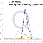 Analysis of Mass Spec data (dashed-line) of fractions stained with p53 Tumor Suppressor Protein MS-QAVA™ monoclonal antibody [Clone: BP53-12] (solid-line), reveals that less than 12.9% of signal is attributable to non-specific binding of anti-p53 Tumor Suppressor Protein [Clone BP53-12] to targets other than TP53 protein. Even frequently cited antibodies have much greater non-specific interactions, averaging over 30%. Data in image is from analysis in A431, RT4 and MCF7 cells.