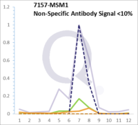 Analysis of Mass Spec data (dashed-line) of fractions stained with p53 Tumor Suppressor Protein MS-QAVA™ monoclonal antibody [Clone: BP53-12] (solid-line), reveals that less than 12.9% of signal is attributable to non-specific binding of anti-p53 Tumor Suppressor Protein [Clone BP53-12] to targets other than TP53 protein. Even frequently cited antibodies have much greater non-specific interactions, averaging over 30%. Data in image is from analysis in A431, RT4 and MCF7 cells.