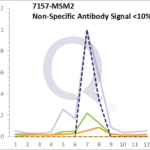 Analysis of Mass Spec data (dashed-line) of fractions stained with p53 Tumor Suppressor Protein MS-QAVA™ monoclonal antibody [Clone: DO-7] (solid-line), reveals that less than 12.1% of signal is attributable to non-specific binding of anti-p53 Tumor Suppressor Protein [Clone DO-7] to targets other than TP53 protein. Even frequently cited antibodies have much greater non-specific interactions, averaging over 30%. Data in image is from analysis in A431, RT4 and MCF7 cells.