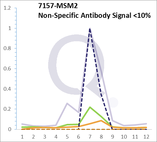 Analysis of Mass Spec data (dashed-line) of fractions stained with p53 Tumor Suppressor Protein MS-QAVA™ monoclonal antibody [Clone: DO-7] (solid-line), reveals that less than 12.1% of signal is attributable to non-specific binding of anti-p53 Tumor Suppressor Protein [Clone DO-7] to targets other than TP53 protein. Even frequently cited antibodies have much greater non-specific interactions, averaging over 30%. Data in image is from analysis in A431, RT4 and MCF7 cells.