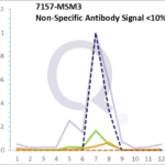 Analysis of Mass Spec data (dashed-line) of fractions stained with p53 Tumor Suppressor Protein MS-QAVA™ monoclonal antibody [Clone: BP53-12 + DO-7] (solid-line), reveals that less than 10.8% of signal is attributable to non-specific binding of anti-p53 Tumor Suppressor Protein [Clone BP53-12 + DO-7] to targets other than TP53 protein. Even frequently cited antibodies have much greater non-specific interactions, averaging over 30%. Data in image is from analysis in A431, RT4 and MCF7 cells.