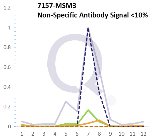 Analysis of Mass Spec data (dashed-line) of fractions stained with p53 Tumor Suppressor Protein MS-QAVA™ monoclonal antibody [Clone: BP53-12 + DO-7] (solid-line), reveals that less than 10.8% of signal is attributable to non-specific binding of anti-p53 Tumor Suppressor Protein [Clone BP53-12 + DO-7] to targets other than TP53 protein. Even frequently cited antibodies have much greater non-specific interactions, averaging over 30%. Data in image is from analysis in A431, RT4 and MCF7 cells.