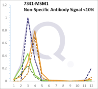 Analysis of Mass Spec data (dashed-line) of fractions stained with SUMO-1 MS-QAVA™ monoclonal antibody [Clone: SM1/495] (solid-line), reveals that less than 9.8% of signal is attributable to non-specific binding of anti-SUMO-1  [Clone SM1/495] to targets other than SUMO1 protein. Even frequently cited antibodies have much greater non-specific interactions, averaging over 30%. Data in image is from analysis in A431, RT4 and MCF7 cells.