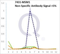 Analysis of Mass Spec data (dashed-line) of fractions stained with Vimentin Anti-Human MS-QAVA™ monoclonal antibody [Clone: VM452] (solid-line), reveals that less than 4.2% of signal is attributable to non-specific binding of anti-Vimentin [Clone:  VM452 ] to targets other than VIM protein. Even frequently cited antibodies have much greater non-specific interactions, averaging over 30%. Data in image is from analysis in Jurkat, U202 and HeLa cells.