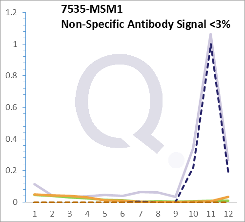 Analysis of Mass Spec data (dashed-line) of fractions stained with ZAP70 MS-QAVA™ monoclonal antibody [Clone: 2F3.2] (solid-line), reveals that less than 2.3% of signal is attributable to non-specific binding of anti-ZAP70 [Clone 2F3.2] to targets other than ZAP70 protein. Even frequently cited antibodies have much greater non-specific interactions, averaging over 30%. Data in image is from analysis in Jurkat, U202 and HeLa cells.