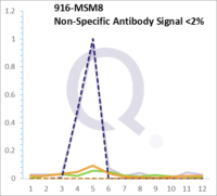 Analysis of Mass Spec data (dashed-line) of fractions stained with CD3e MS-QAVA™ monoclonal antibody [Clone: C3e/1308] (solid-line), reveals that less than 1.4% of signal is attributable to non-specific binding of anti-CD3e [Clone: C3e/1308] to targets other than CD3E protein. Even frequently cited antibodies have much greater non-specific interactions, averaging over 30%. Data in image is from analysis in Jurkat, U202 and HeLa cells.