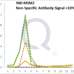 Analysis of Mass Spec data (dashed-line) of fractions stained with CD44 / HCAM MS-QAVA™ monoclonal antibody [Clone: HCAM/918] (solid-line), reveals that less than 12.6% of signal is attributable to non-specific binding of anti-CD44 / HCAM Std. Anti-Human, Primate [Clone HCAM/918] to targets other than CD44 protein. Even frequently cited antibodies have much greater non-specific interactions, averaging over 30%. Data in image is from analysis in Jurkat, U202 and HeLa cells.