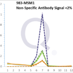 Analysis of Mass Spec data (dashed-line) of fractions stained with Cdk1 / p34cdc2 MS-QAVA™ monoclonal antibody [Clone: POH-1; same as cdc2.1] (solid-line), reveals that less than 1.6% of signal is attributable to non-specific binding of anti-Cdk1 / p34cdc2 [Clone POH-1; cdc2.1] to targets other than CDC2 protein. Even frequently cited antibodies have much greater non-specific interactions, averaging over 30%. Data in image is from analysis in Jurkat, U202 and HeLa cells.