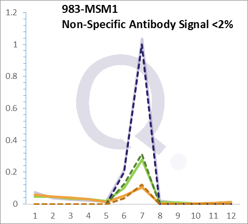 Analysis of Mass Spec data (dashed-line) of fractions stained with Cdk1 / p34cdc2 MS-QAVA™ monoclonal antibody [Clone: POH-1; same as cdc2.1] (solid-line), reveals that less than 1.6% of signal is attributable to non-specific binding of anti-Cdk1 / p34cdc2 [Clone POH-1; cdc2.1] to targets other than CDC2 protein. Even frequently cited antibodies have much greater non-specific interactions, averaging over 30%. Data in image is from analysis in Jurkat, U202 and HeLa cells.