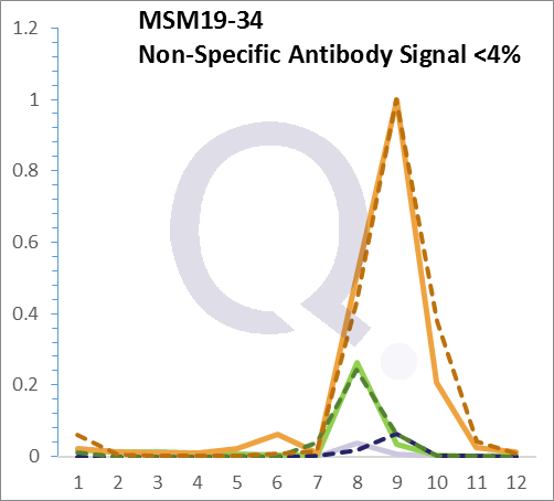Analysis of Mass Spec data (dashed-line) of fractions stained with Cytokeratin 8/18 MS-QAVA™ monoclonal antibody [Clone: C-51] (solid-line), reveals that less than 3.8% of signal is attributable to non-specific binding of anti-Cytokeratin 8/18 [Clone C-51] to targets other than KRT8 & KRT18 protein. Even frequently cited antibodies have much greater non-specific interactions, averaging over 30%. Data in image is from analysis in A431, RT4 and MCF7 cells.