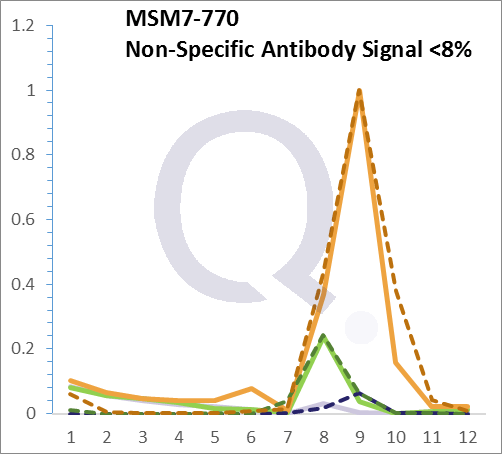 Analysis of Mass Spec data (dashed-line) of fractions stained with Cytokeratin 8/18 MS-QAVA™ monoclonal antibody [Clone: C-43 + DC10] (solid-line), reveals that less than 7.5% of signal is attributable to non-specific binding of anti-Cytokeratin 8/18 [Clone C-43 + DC10] to targets other than KRT8 & KRT18 protein. Even frequently cited antibodies have much greater non-specific interactions, averaging over 30%. Data in image is from analysis in A431, RT4 and MCF7 cells.