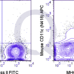 C57Bl/6 splenocytes were stained with FITC Mouse Anti-MHC Class II  and 0.125 ug APC Mouse Anti-CD11c (QAB23) (right panel) or 0.125 ug APC Armenian Hamster IgG (left panel).