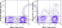 C57Bl/6 splenocytes were stained with FITC Mouse Anti-MHC Class II  and 0.125 ug APC Mouse Anti-CD11c (QAB23) (right panel) or 0.125 ug APC Armenian Hamster IgG (left panel).