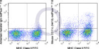 C57Bl/6 splenocytes were stained with FITC Mouse Anti-MHC Class II  and 0.125 ug Qfluor™  710 Mouse Anti-CD11c  (QAB23) (right panel) or 0.125 ug Qfluor™  710 Armenian Hamster IgG (left panel).