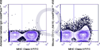 C57Bl/6 splenocytes were stained with FITC Mouse Anti-MHC Class II  and 0.125 ug V450 Mouse Anti-CD11c   (right panel) or 0.125 ug V450  710 Armenian Hamster IgG (left panel).