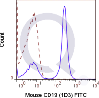 C57Bl/6 splenocytes were stained with 0.25 ug Mouse Anti-CD19 FITC (QAB28) (solid line) or 0.25 ug Rat IgG2a FITC isotype control (dashed line). Flow Cytometry Data from 10,000 events.