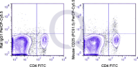 C57Bl/6 splenocytes were stained with FITC Mouse Anti-CD4  and 0.25 ug PerCP-Cy5.5 Mouse Anti-CD25 .