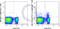 C57Bl/6 splenocytes were stained with APC Mouse Anti-CD4  and 0.2 ug V450 Mouse Anti-CD25  (right panel) or 0.2 ug V450 Rat IgG1 isotype control (left panel).