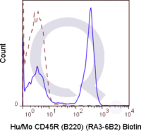 C57Bl/6 splenocytes were stained with 0.06 ug Anti-Hu/Mo CD45R (B220) Biotin (QAB41) (solid line) or 0.06 ug Rat IgG2a Biotin isotype control (dashed line). Flow Cytometry Data from 10,000 events., followed by Streptavidin FITC.