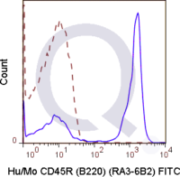 C57Bl/6 splenocytes were stained with 0.25 ug Anti-Hu/Mo CD45R (B220) FITC (QAB41) (solid line) or 0.25 ug Rat IgG2a FITC isotype control (dashed line). Flow Cytometry Data from 10,000 events.