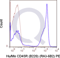 C57Bl/6 splenocytes were stained with 0.5 ug PE Anti-Hu/Mo CD45R (B220) (QAB41) (solid line) or 0.5 ug PE Rat IgG2a isotype control (dashed line). Flow Cytometry Data from 10,000 events.