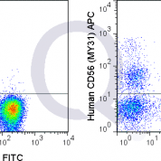 Human PBMCs were stained with FITC Human Anti-CD3  and 5 uL  (right panel) or 0.5 ug APC Mouse IgG1 isotype control (left panel).