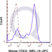 C57Bl/6 splenocytes were stained with 0.06 ug Mouse Anti-CD62L APC (QAB49) (solid line) or 0.06 ug Rat IgG2a APC isotype control (dashed line). Flow Cytometry Data from 10,000 events.