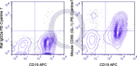 C57Bl/6 splenocytes were stimulated for 3 days with LPS and then stained with APC Mouse Anti-CD19  and 0.25 ug PE-Cy7 Mouse Anti-CD86 .