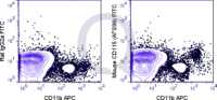 C57Bl/6 peripheral blood cells were stained with APC Mouse Anti-CD11b  and 0.5 ug FITC Mouse Anti-CD115  (QAB53) (right panel) or 0.5 ug FITC Rat IgG2a (left panel).