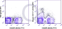 C57Bl/6 bone marrow cells were stained with FITC Mouse Anti-CD45R  and 0.06 ug APC Mouse Anti-CD117 (QAB54) (right panel) or 0.06 ug  APC Rat IgG2b (left panel).