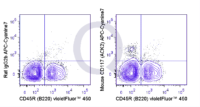 C57Bl/6 bone marrow cells were stained with V450 Mouse Anti-CD45R  and 0.25 ug APC-Cy7 Mouse Anti-CD117 .