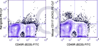 C57Bl/6 bone marrow cells were stained with FITC Mouse Anti-CD45R  and 0.5 ug PE-Cy7 Mouse Anti-CD117 .