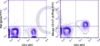 C57Bl/6 splenocytes were stained with APC Mouse Anti-CD3  and 1 ug FITC Mouse Anti-CD127 (QAB55) (right panel) or 1 ug FITC Rat IgG2a isotype control (left panel).