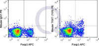 C57Bl/6 splenocytes were stained with FITC Mouse Anti-CD4 , APC Anti-Human/Mouse Foxp3  and 0.25 ug PE Mouse Anti-TIGIT (QAB57) (right panel) or 0.25 ug PE Mouse IgG1 (left panel).