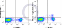 C57Bl/6 splenocytes were stained with APC Mouse Anti-CD4 , followed by intracellular staining with 0.015 ug FITC Mouse Anti-Foxp3 (QAB71) (right panel) or 0.015 ug FITC Mouse IgG1 isotype control (left panel).