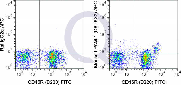 C57Bl/6 bone marrow cells were stained with FITC Mouse Anti-CD45R  and 0.25 ug APC Mouse Anti-LPAM-1 (QAB73) (rlght panel) or 0.25 ug APC Rat IgG2a isotype control (left panel).