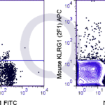 C57Bl/6 splenocytes were stained with FITC Mouse Anti-NK1.1  and 0.06 ug APC Mouse Anti-KLRG1 (QAB74) (right panel) or 0.06 ug APC Golden Syrian Hamster IgG (left panel).