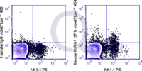 C57Bl/6 splenocytes were stained with APC Mouse Anti-NK1.1 and 0.25 ug V450 Mouse Anti-KLRG1  (right panel) or 0.25 ug V450 Golden Syrian Hamster IgG (left panel).