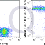 C57Bl/6 bone marrow cells were stained with FITC Mouse Anti-CD45  and  0.5 ug APC Mouse Anti-TER-119 (QAB76) (right panel) or 0.5 ug APC Rat IgG2b isotype control (left panel).