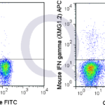 C57Bl/6 splenocytes were stimulated with PMA and Ionomycin , followed by intracellular staining with 0.06 ug APC Mouse Anti-IFN gamma (QAB83).