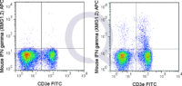 C57Bl/6 splenocytes were stimulated with PMA and Ionomycin , followed by intracellular staining with 0.06 ug APC Mouse Anti-IFN gamma (QAB83).