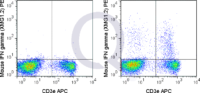 C57Bl/6 splenocytes were stimulated with PMA and Ionomycin , followed by intracellular staining with 0.125 ug PE Mouse Anti-IFN gamma (QAB83).