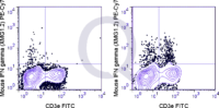 C57Bl/6 splenocytes were stimulated with PMA and Ionomycin , followed by intracellular staining with 0.125 ug PE-Cy7 Mouse Anti-IFN gamma (QAB83).