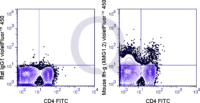 C57Bl/6 splenocytes were stimulated with PMA and Ionomycin , followed by intracellular staining with 0.125 ug V450 Mouse Anti-IFN gamma .