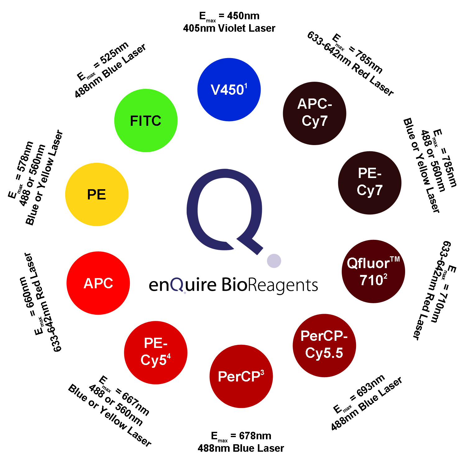 V450, FITC, PE, APC, PerCP, QFluor 710, PE-Cy5, PerCP-Cy5.5, PE-Cy7, APC-Cy7 Emission and Excitation Information. 1. Superior Replacement to Pacific Blue. 2. Similar to Alexa FluorTM 700 but with less overlap into APC spectra. 3. May bleach with high powered lasers (over 25 mW). Use PerCP-Cy5.5 if instrument exceeds PerCP's recommended limit. 4. Fc blocking is necessary forCy5 conjugates as they may interact with Fc receptors resulting in false positive signal.